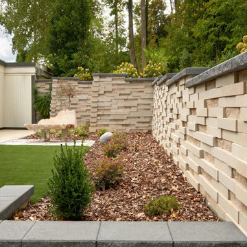Backyard Wall Close-Up View