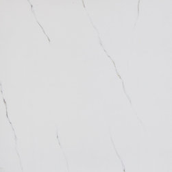 Lulla Satuario Porcelain Tile 24" x 24" - Flooring