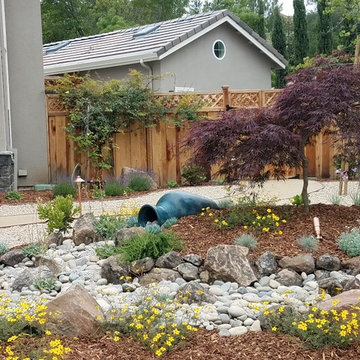 Low Water Gardens