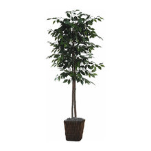 Wish List
