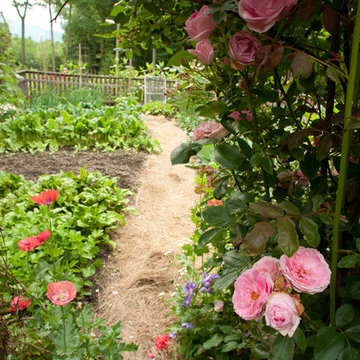 The Complete Kitchen Garden Designs