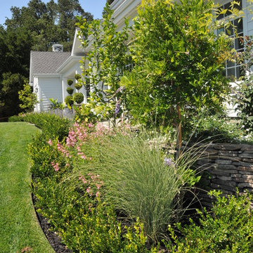 Traditional Garden