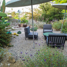 back garden