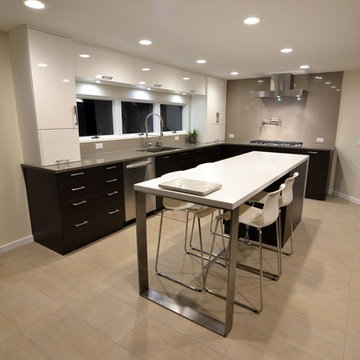 Small "U" Shaped Modern Kitchen with White and Wood Finishes in Geneva, IL