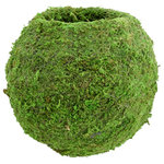 Arcadia Garden Products - Kokedama 8.5 x 7.5", Set of 2 - Gardening typically involves containers of some kind and with this nature-inspired Kokedama Moss Ball Planter from Arcadia Garden Products, your garden will radiate. Simply scoop in the appropriate soil mix for the plants you select. Add the plants and then water. The moss ball planter will work its magic by retaining moisture and nurturing the roots. (Not all roots want a moist growing environment so select plants accordingly.) This moss ball planting method is said to originate hundreds of years ago in Japan. With this Kokedama there is no messy hand-molding of coir, peat and potting mix to make a muddy ball. Instead, the globe-shaped frame is made of metal wire covered in preserved moss that is meticulously wrapped with unobtrusive line to achieve the Kokedama look. For plants, this type of container provides a moist, low-water growing environment typically suitable for consistent misting. For gardeners, convenience is key when achieving another level of enjoyment in the garden.