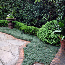 GARDEN DETAILS