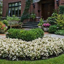 plant beds