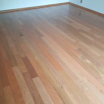 Brazilian Cherry / Jatoba Hardwood Flooring 4" in Morganville, NJ