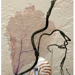 FAN-tastic Sea - Home Decor