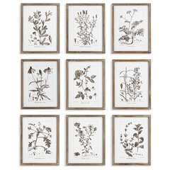 Botanical Study Leaf Berry Flower Wall Art Gold Frame Set Of 6 ~ Uttermost  33651