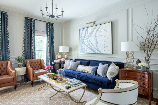 Transitional Living Room by Elizabeth Reich