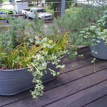 Container Gardens