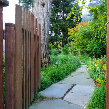 Grassy Meadow Oasis - Reduces Waste While Increasing Habitat