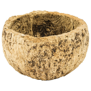 all Natural Mayan Coconut, Dried , Half Bleached, 3-4" W