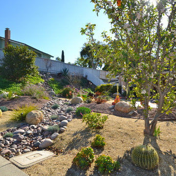 92124-Tierrasanta-Colorful Xeriscape/ Low Water/ Low Maintenance Front Yard