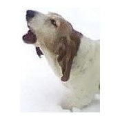 Christine Stoneman's photo