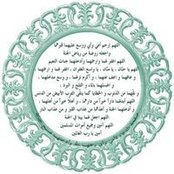 Foto von Rawd Shehata