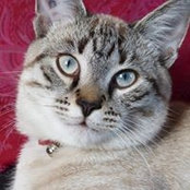 Catherine Nyk's photo