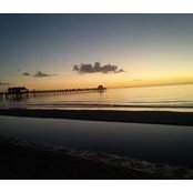 Janine Berdecia's photo