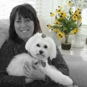 Dawn Caputo's photo