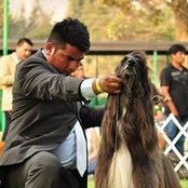 Ana Paulet's photo