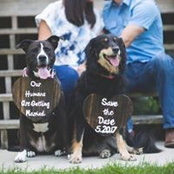 Garrett Singletary's photo