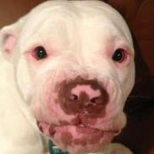 Lynne Bayley-Lane's photo