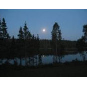 Donna Jacobsen's photo