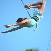 Robin Singer's photo