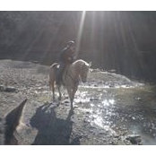 Rachel Dunn's photo