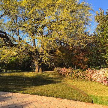 Fort Worth Estate Garden