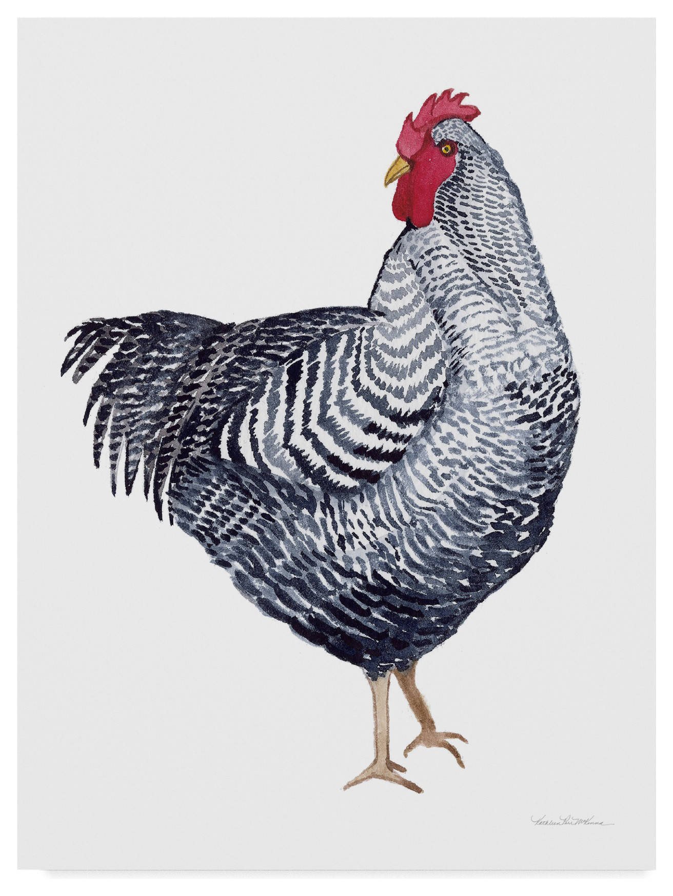 Kathleen Parr Mckenna 'Life On The Farm Chicken Element I' Canvas Art ...