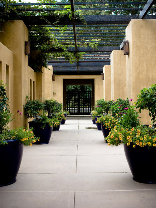 Steel Pergolas | Houzz