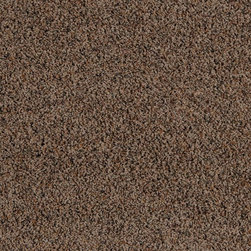 Tigressa Market Street Accents in Cub - Flooring