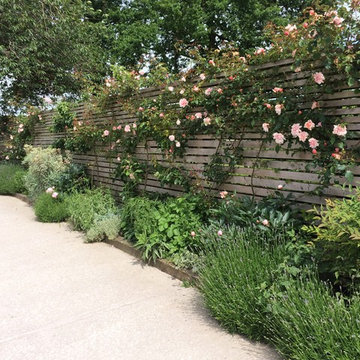 Romantic roses climbing breaks up the slatted trellis and mixed herbs such as Sa
