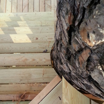 Dunn Treehouse