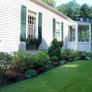 Matching Plantings to Window Heights