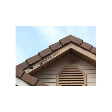 Termite Services, Fumigation Services