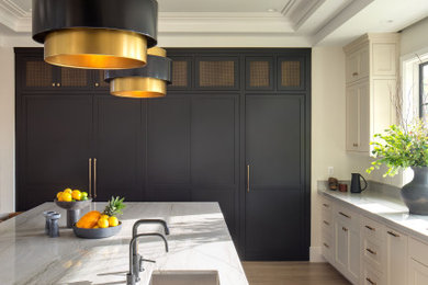 Inspiration for a transitional kitchen remodel in San Diego