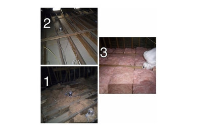 attic cleaning and insulation replacement