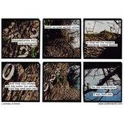 Tim Wake's photo