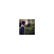 Grahm Bailey's photo