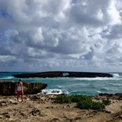 Arielle Shore's photo