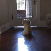 Stephen Collias's photo