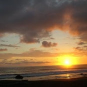 Helen Lee's photo