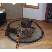 Michelle Galat's photo