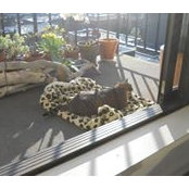 Richard Block's photo