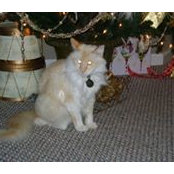 Xander Leonhardt's photo