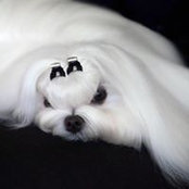 Denise de Meillon's photo
