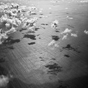 Edan Marshalls foto